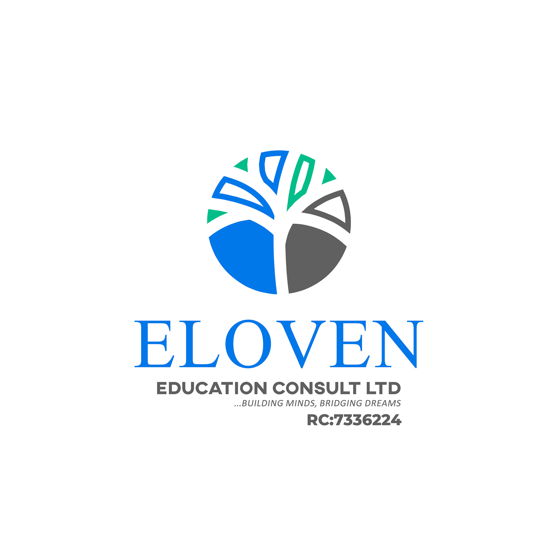 Eloven Education Consult logo